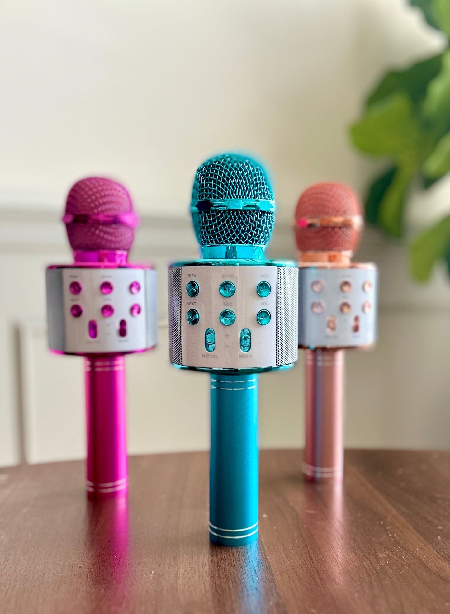 Rockstar Karaoke Microphone in Assorted Colors